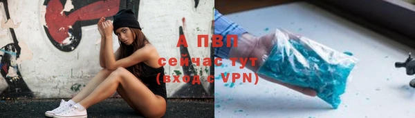 гашик Абаза