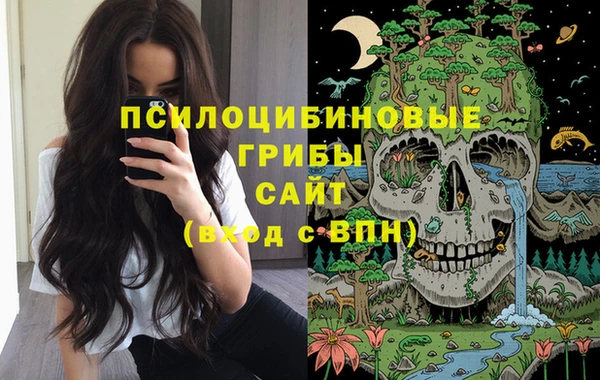гашик Абаза
