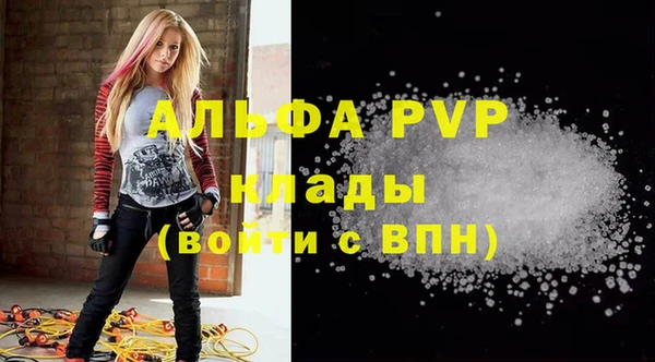 прущие грибы Новозыбков